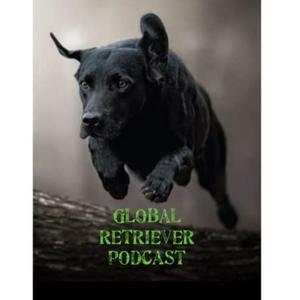 Listen to Global Retriever Podcast in the App