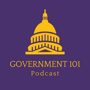 Government 101