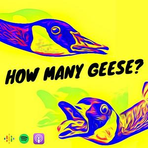 Listen to How many geese? in the App