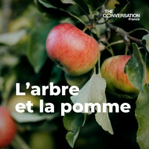 L’arbre et la pomme