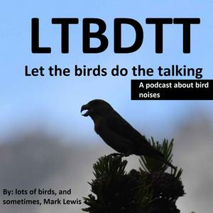 Let the birds do the talking