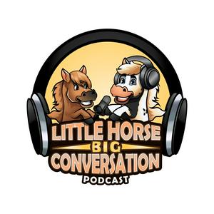 The Little Horse Big Conversation Podcast