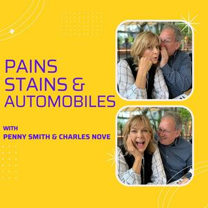 Pains Stains & Automobiles