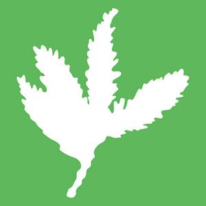 Sequoia Grove Podcast