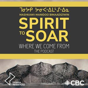 Spirit to Soar: Where We Come From