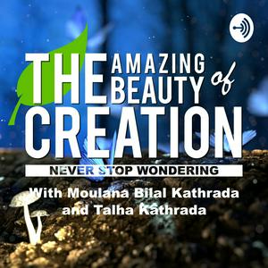 The Amazing Beauty of Creation