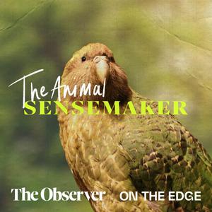 The Animal Sensemaker