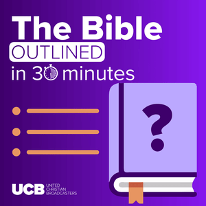 The Bible in 30 Minutes