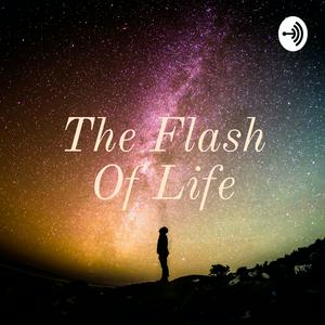 The Flash Of Life