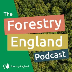 Listen to The Forestry England Podcast in the App