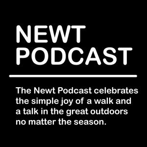 Listen to The Newt Podcast in the App