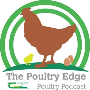 The Poultry Edge