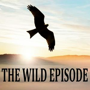 Listen to The Wild Episode in the App