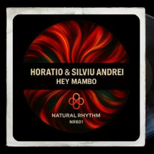 THIS IS HORATIO/IBIZAHOLIC