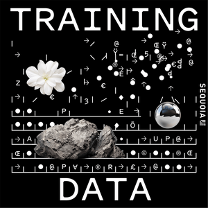 Listen to Training Data in the App