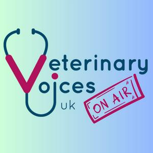 Listen to Vet Voices On Air in the App